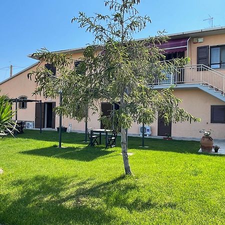 Agriturismo Da Michele E Carmela Di Voli Patrizia Donoratico Exteriér fotografie