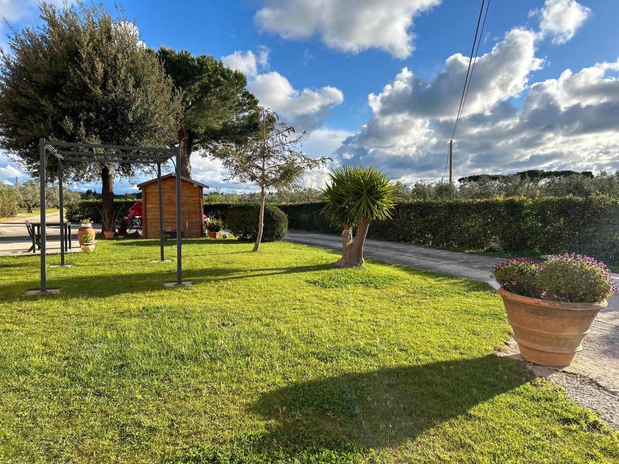 Agriturismo Da Michele E Carmela Di Voli Patrizia Donoratico Exteriér fotografie