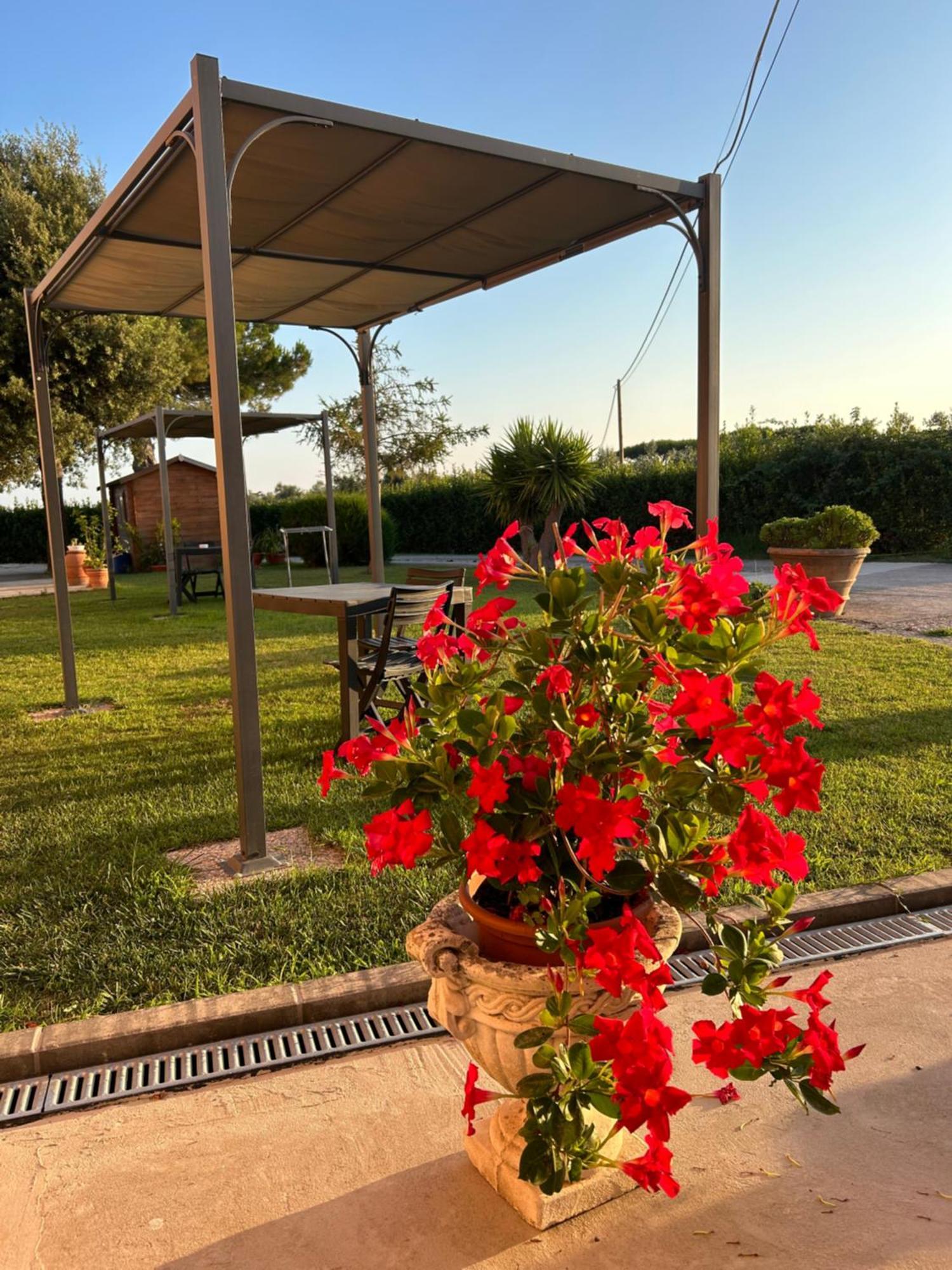 Agriturismo Da Michele E Carmela Di Voli Patrizia Donoratico Exteriér fotografie